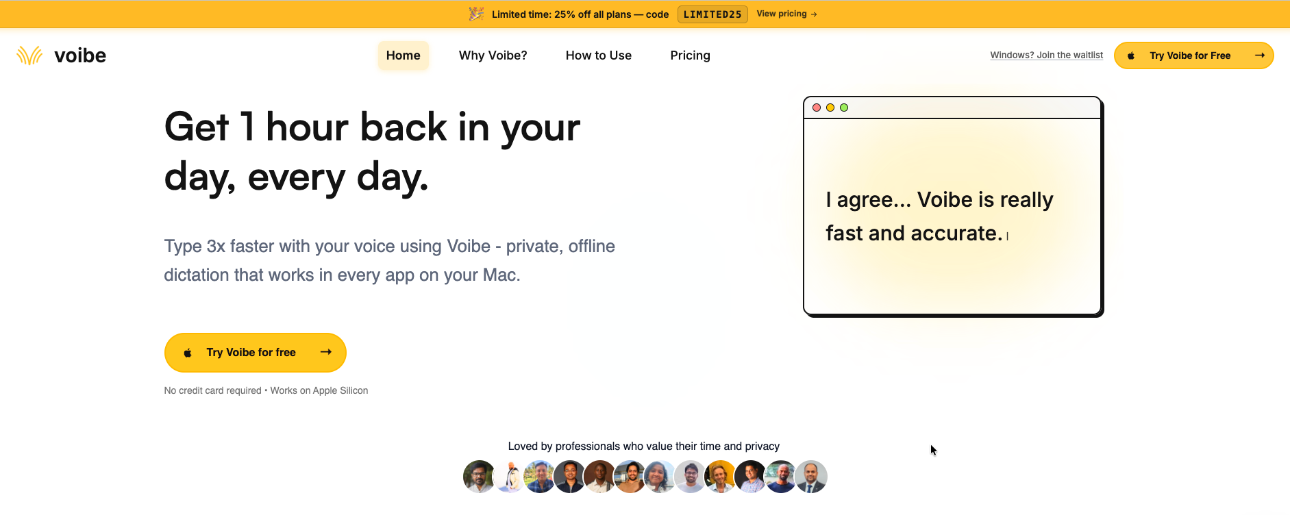 Voibe dashboard screenshot